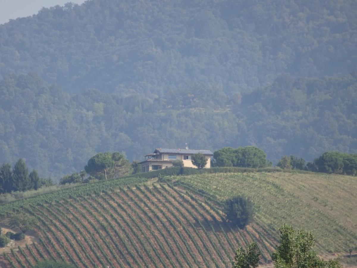 Casaro Apartment Albano Sant'alessandro ภายนอก รูปภาพ